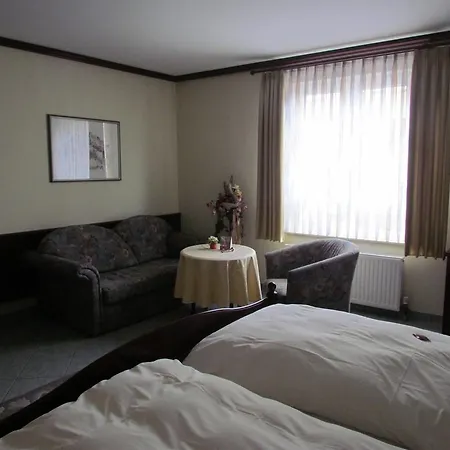 Otel Zum Erker Trebur